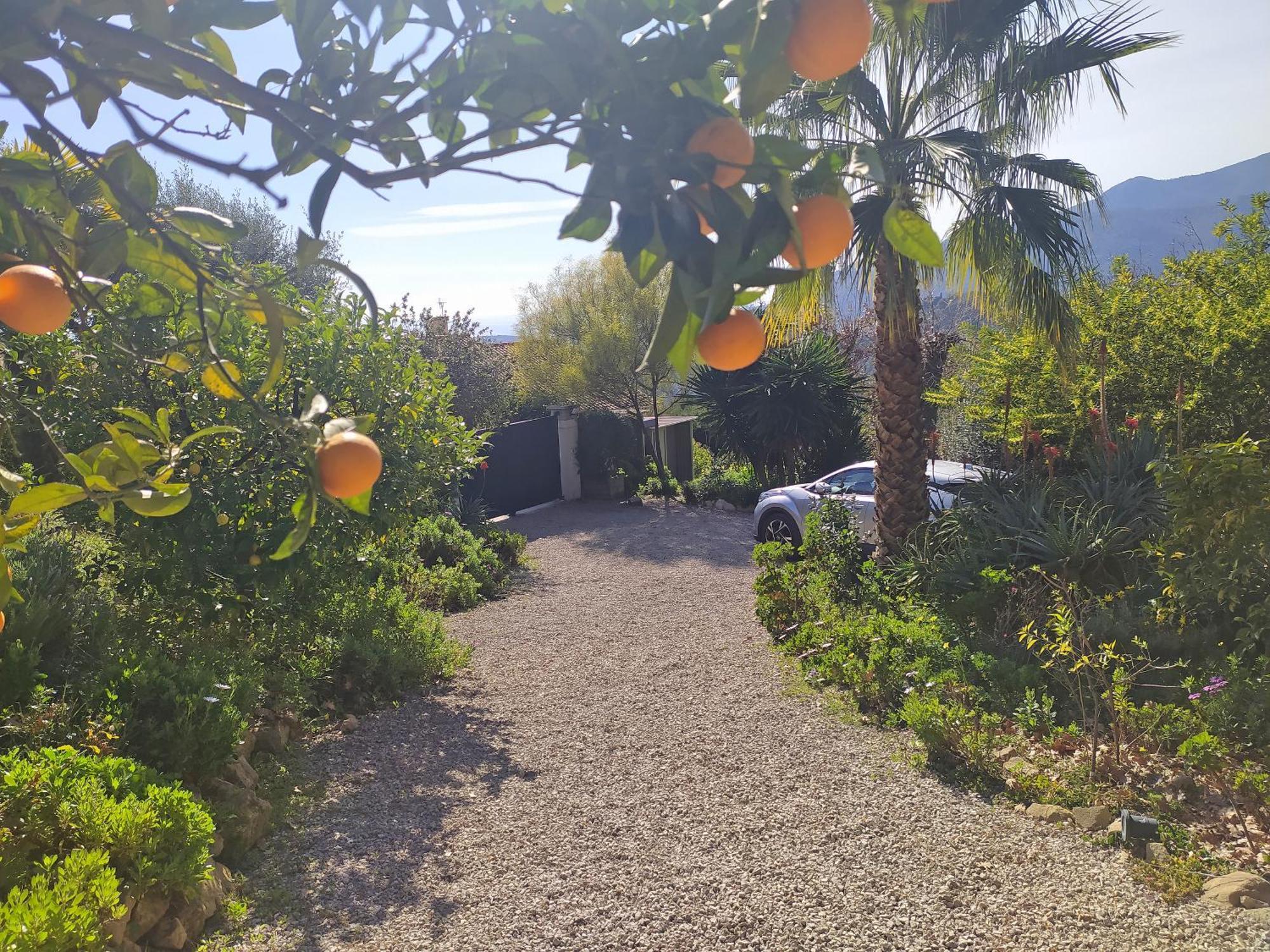 456 Chemin De La Pinede Apartment Menton Exterior photo