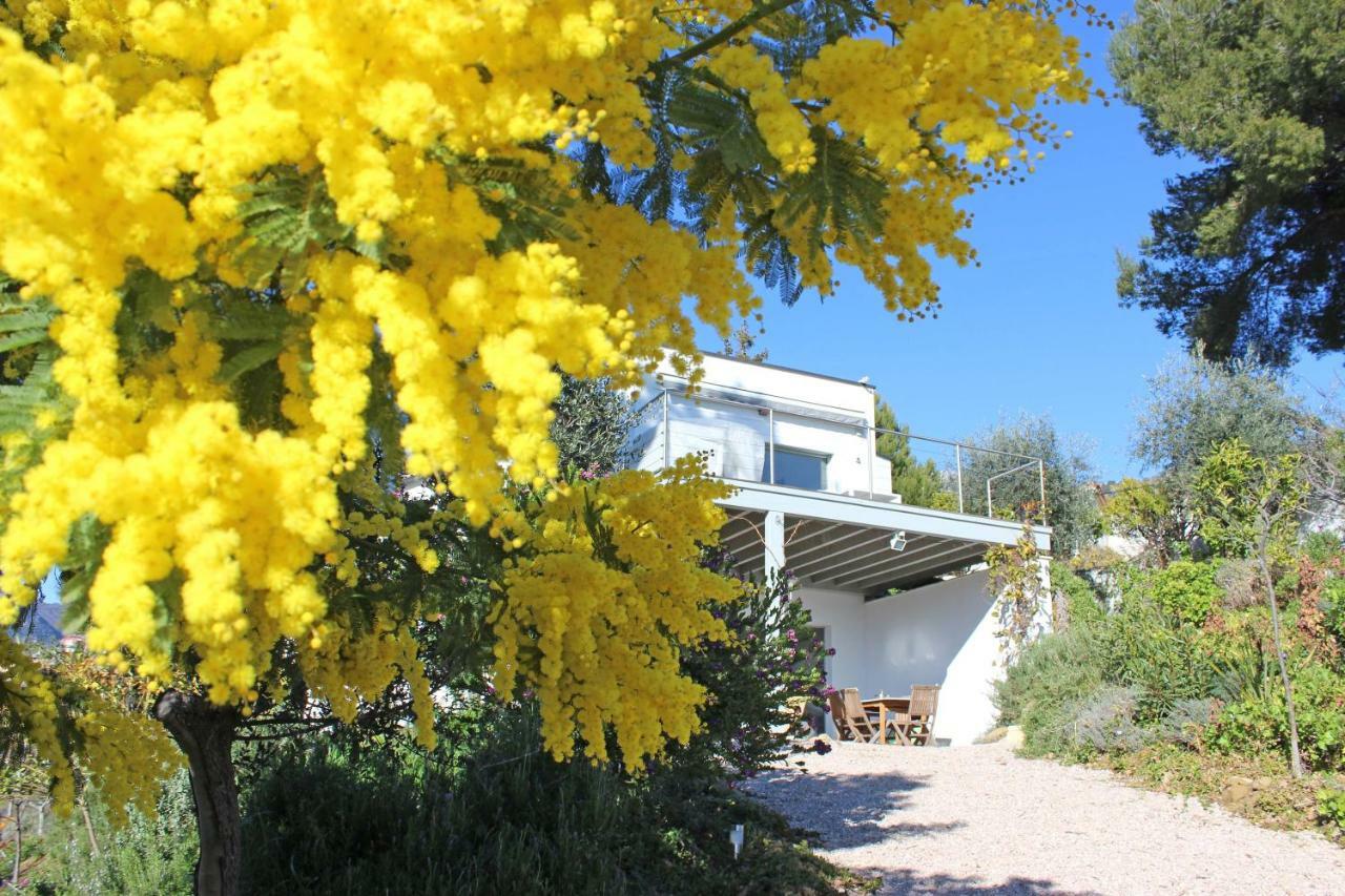 456 Chemin De La Pinede Apartment Menton Exterior photo
